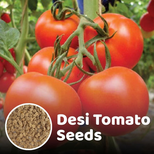 Desi Tomato Seeds